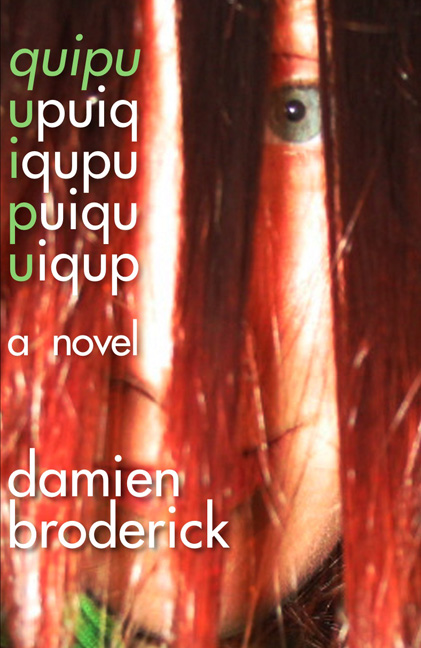 Cover of Damien Brodericks QUIPU